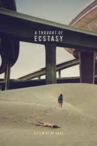 Постер В поисках наслаждения (A Thought of Ecstasy)