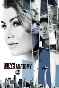 Постер Анатомия страсти (Grey's Anatomy)