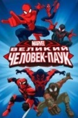 Постер Великий Человек-паук (2012)