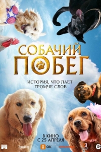 Постер Собачий побег (Valatty)