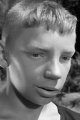 Вячеслав Царев