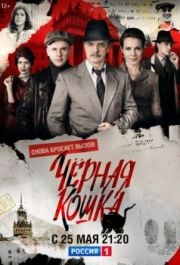 Черная кошка (1 сезон) 
