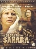 Постер Секрет Сахары (Il segreto del Sahara)