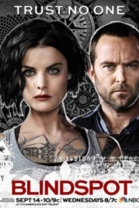 Постер Слепая зона (Blindspot)