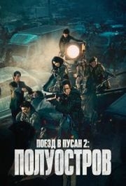 
Поезд в Пусан 2: Полуостров (2020) 