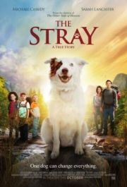 
The Stray (2017) 