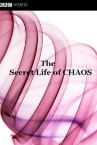 Постер BBC: Тайная жизнь хаоса (The Secret Life of Chaos)