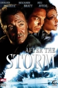 Постер После шторма (After the Storm)