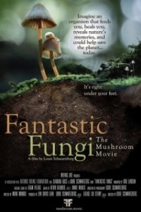 Постер Фантастические Грибы (Fantastic Fungi)