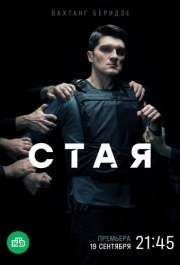 Стая (1 сезон) 
