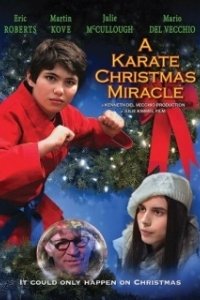 
Рождественское чудо в стиле карате (2019) 