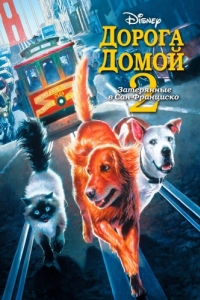 Постер Дорога домой 2: Затерянные в Сан-Франциско (Homeward Bound II: Lost in San Francisco)