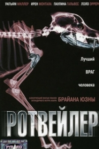 Постер Ротвейлер (Rottweiler)