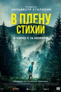 Постер В плену стихии (Lost on a Mountain in Maine)