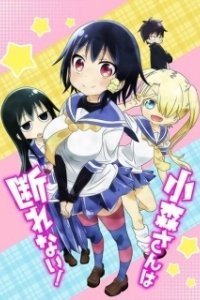 Постер Безотказная Комори (Komori-san wa kotowarenai!)