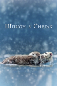 Постер Шпион в снегах (Spy in the Snow)