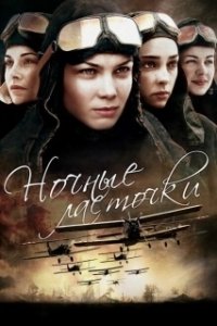 Постер Ночные ласточки (Ночные ласточки)