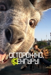 
Осторожно, Кенгуру! (2020) 