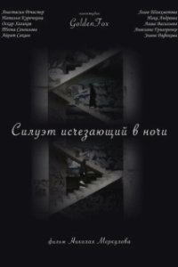 
Силуэт, исчезающий в ночи (2022) 