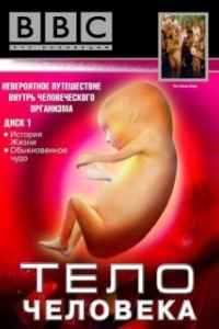 Постер BBC: Тело человека (The Human Body)