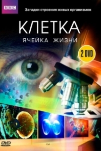 Постер BBC: Клетка (The Cell)