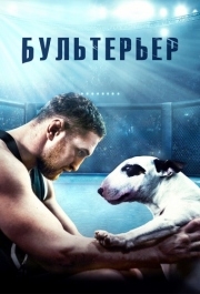 
Бультерьер (2022) 