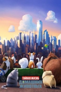 Постер Тайная жизнь домашних животных (The Secret Life of Pets)