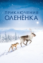 
Приключения олененка (2018) 