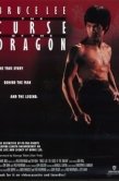 Постер Проклятье дракона (1993)