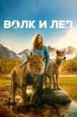 Постер Волк и лев (2021)
