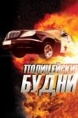 Постер Полицейские будни (2012)