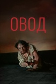 Постер Овод (1955)