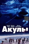 Постер Акулы 2 (2000)