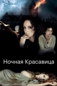 Постер Ночная красавица (2013)