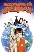 Постер Лохматый спецназ (2003)