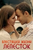 Постер Блестящей жизни лепесток (2016)