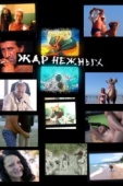 Постер Дикий, дикий пляж. Жар нежных (2005)