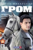 Постер Гром (2013)