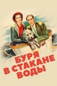 Постер Буря в стакане воды (1937)