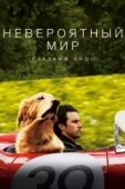 Постер Невероятный мир глазами Энцо (2019)