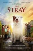 Постер The Stray (2017)