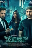 Постер Дружба (2021)