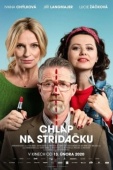 Постер Совместная опека (2020)