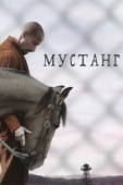 Постер Мустанг (2017)