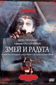 Постер Змей и радуга (1987)