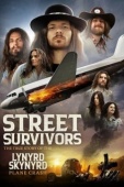 Постер Выжившие: Подлинная история крушения самолёта группы Lynyrd Skynyrd (2020)