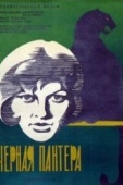 Постер Черная пантера (1966)