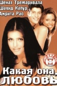 Постер Какая она, любовь (2003)