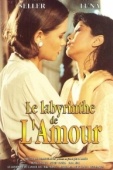 Постер Лабиринт любви (1994)