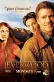 Постер Любовь вдовца (2002)